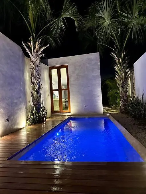 San Cristobal House At Merida Downtown With Car Available For Rent-1